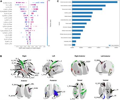 Connectomic disturbances underlying <mark class="highlighted">insomnia disorder</mark> and predictors of treatment response